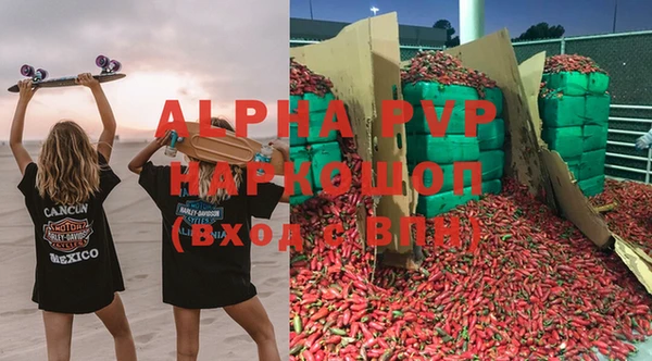 прущие грибы Бугульма