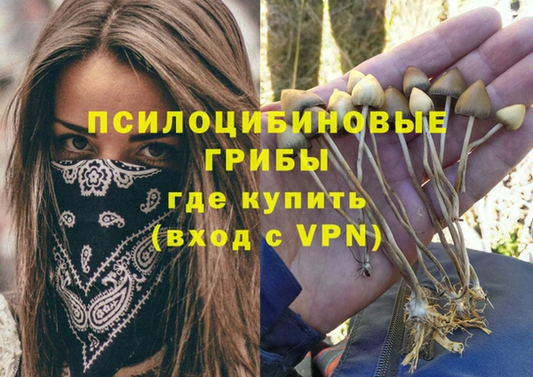 крисы Бородино