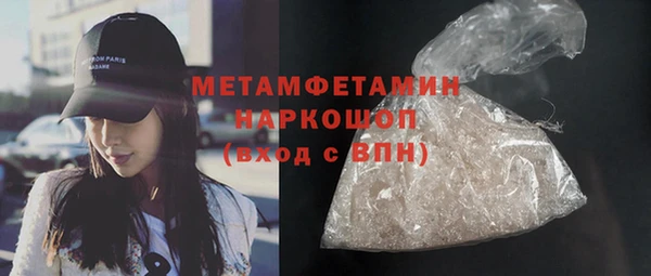 крисы Бородино