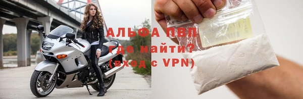 крисы Бородино