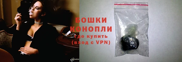 крисы Бородино