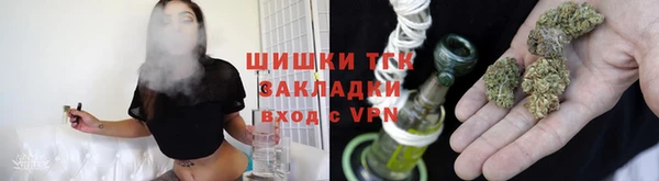 крисы Бородино