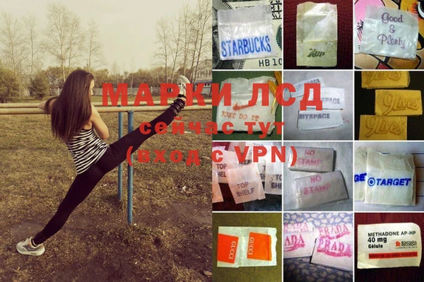 прущие грибы Бугульма