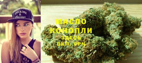 крисы Бородино