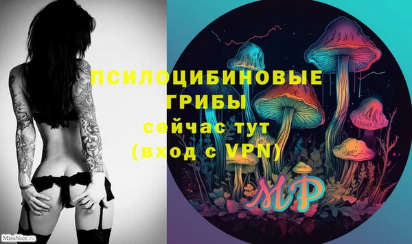 крисы Бородино