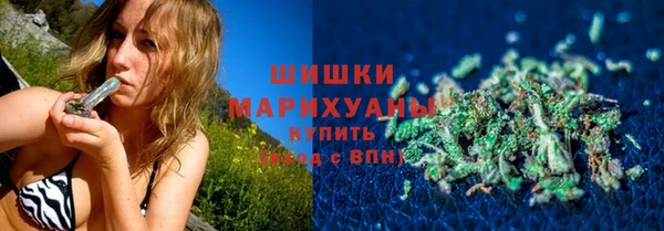 крисы Бородино