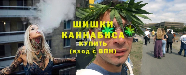 прущие грибы Бугульма