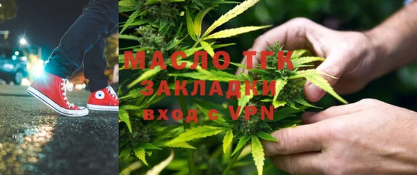 крисы Бородино