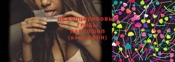 спиды Бронницы