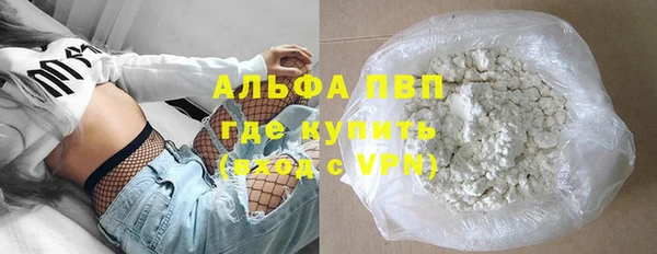 крисы Бородино
