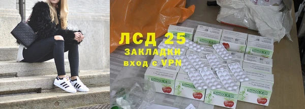 прущие грибы Бугульма