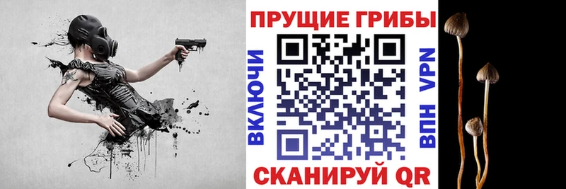 Псилоцибиновые грибы прущие грибы Осташков